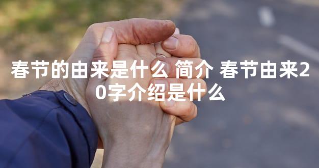 春节的由来是什么 简介 春节由来20字介绍是什么